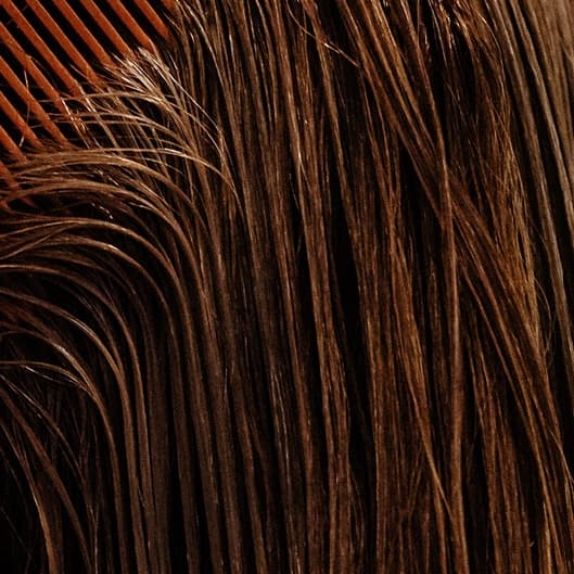 The Ultimate Frizz Fix at Hair by Stephh in Shenandoah, TX